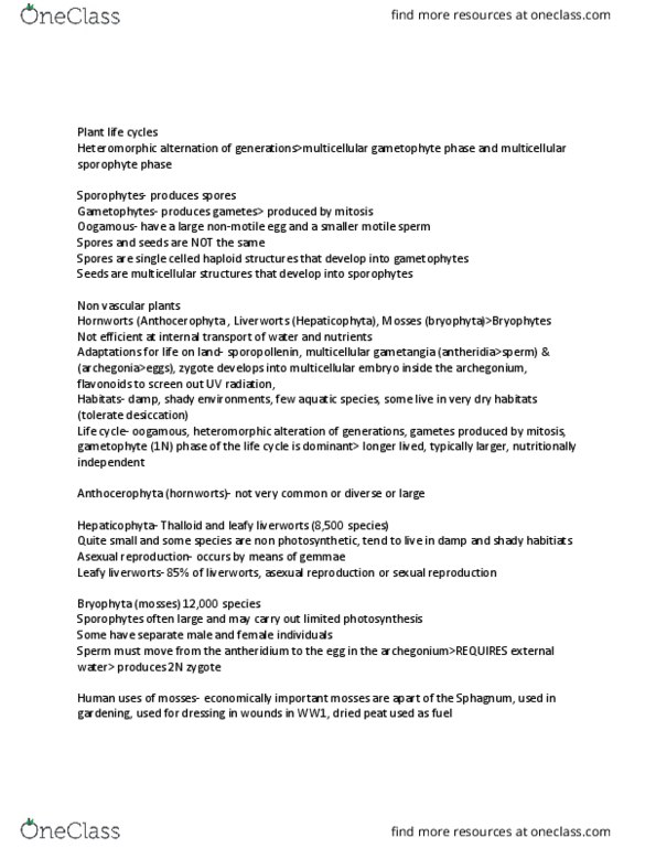 BIOL 211 Lecture Notes - Lecture 11: Sphagnum, Jungermanniales, Oogamy thumbnail