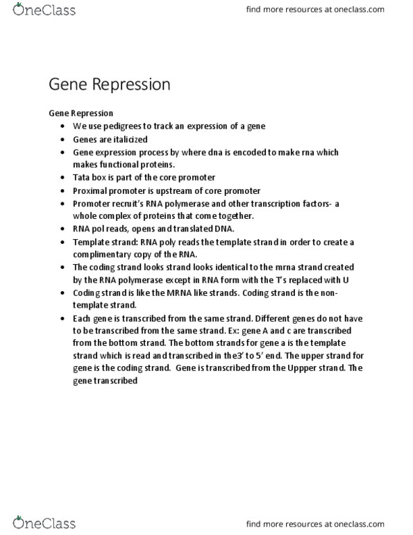 BIOL 2905 Lecture Notes - Lecture 3: Purine, Chromosome, Pyrimidine thumbnail