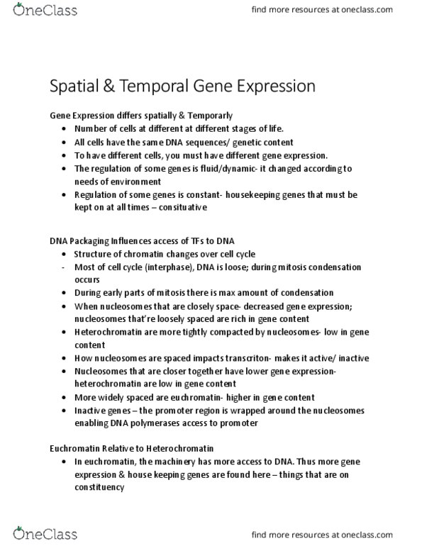 BIOL 2905 Lecture Notes - Lecture 18: Lysine, Acetyl Group, Heterochromatin thumbnail