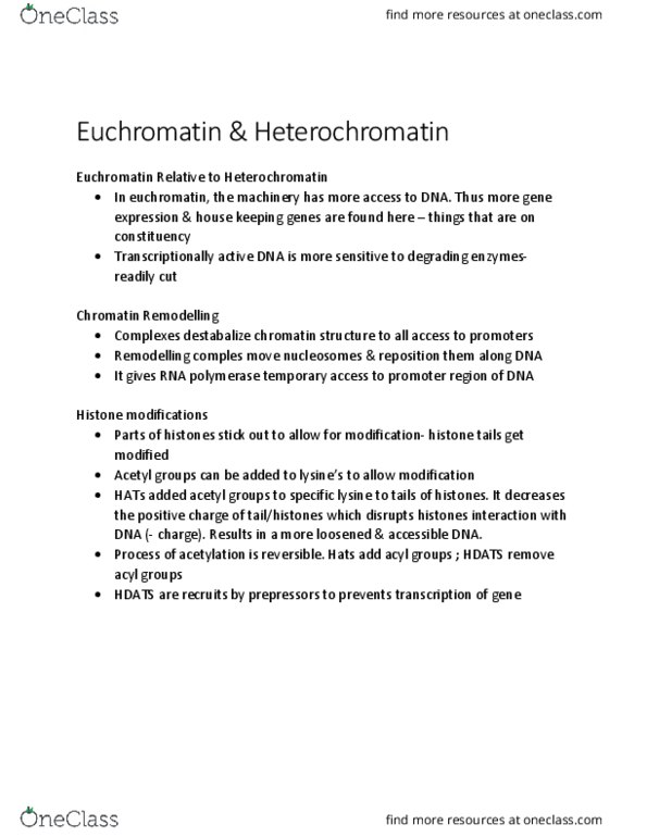 BIOL 2905 Chapter Notes - Chapter 4: Lysine, Euchromatin, Heterochromatin thumbnail