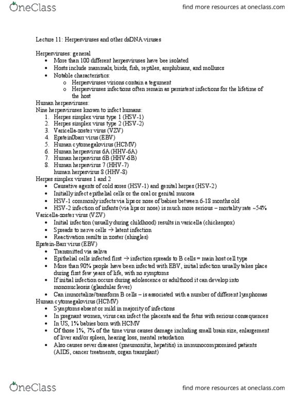 BSC 444 Lecture Notes - Lecture 11: Nuclear Pore, Aciclovir, On2 Technologies thumbnail