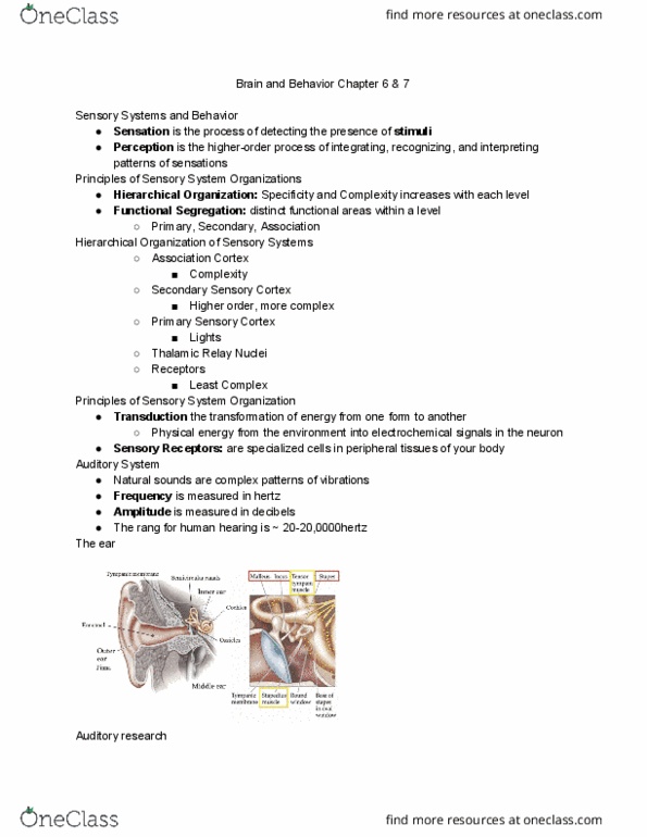 PSB-2000 Lecture Notes - Lecture 6: Ventral Posterior Nucleus, Entorhinal Cortex, Hyposmia thumbnail