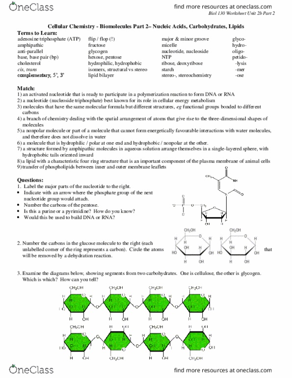 BIOL130 Lecture Notes - Lecture 8: Chemical Polarity, Lipid Bilayer, Dehydration Reaction thumbnail