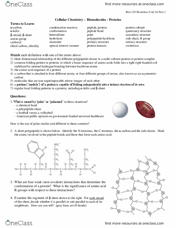 BIOL130 Lecture Notes - Lecture 4: Asymmetric Carbon, Universal Health Care, Chemical Bond thumbnail