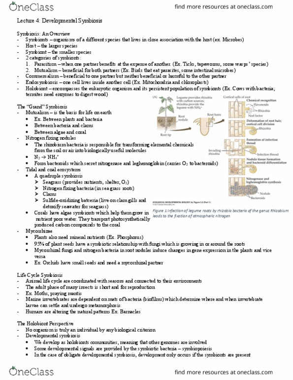 HSS 4102 Lecture Notes - Lecture 4: Herbicide, Horizontal Transmission, Atrazine thumbnail