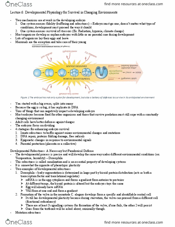 HSS 4102 Lecture Notes - Lecture 6: Multiple Drug Resistance, Dauer Larva, Avidin thumbnail