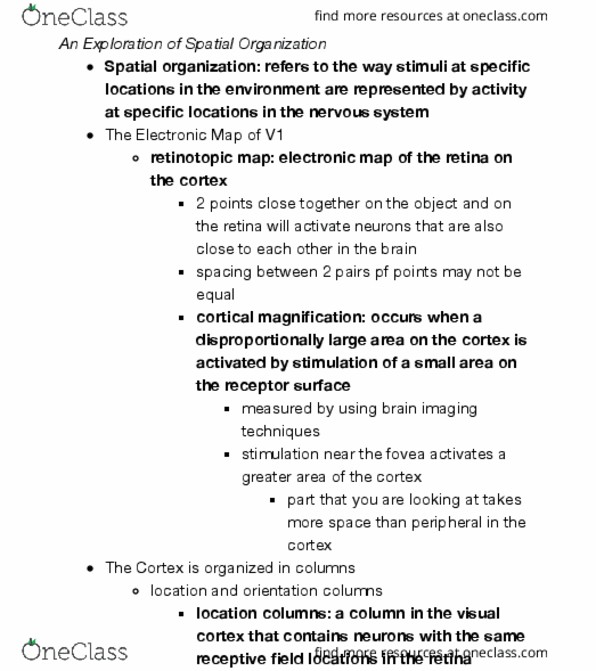 PSY 2104 Chapter Notes - Chapter 4: Parahippocampal Gyrus, Extrastriate Body Area, Temporal Lobe thumbnail