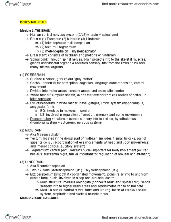 PSYB65H3 Chapter Notes - Chapter NKT 1: Anterior Pituitary, Caudate Nucleus, Biological Neural Network thumbnail