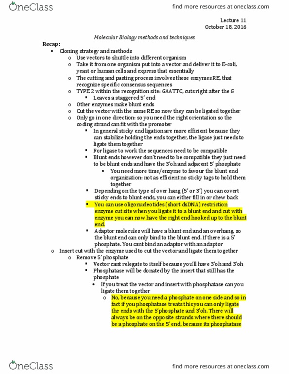 BIOL 3110 Lecture Notes - Lecture 11: Pyrophosphate, Chromosome, Enzyme Inhibitor thumbnail