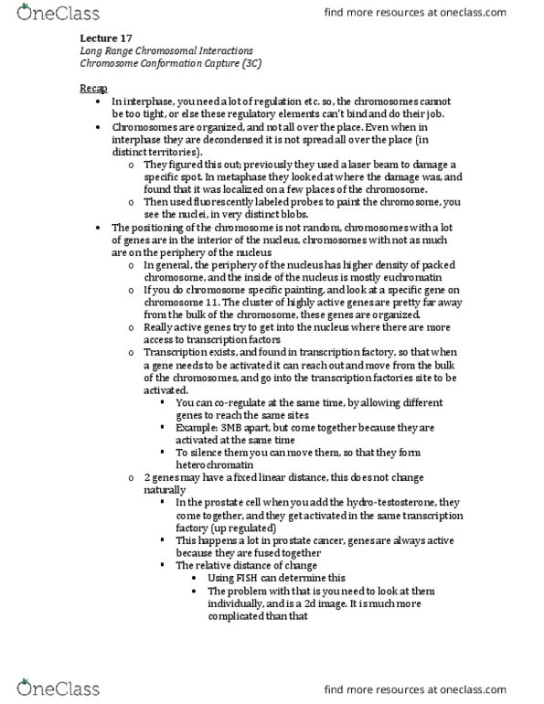 BIOL 3110 Lecture Notes - Lecture 17: Bacs, Hbb, Hindiii thumbnail