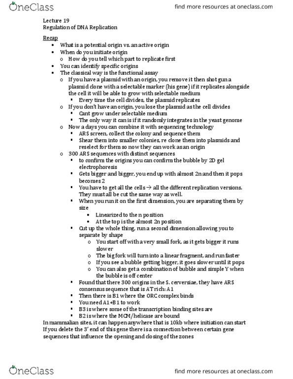 BIOL 3110 Lecture Notes - Lecture 19: Exonuclease, Nucleosome, Dna Replication thumbnail