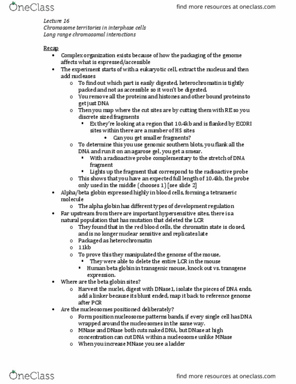 BIOL 3110 Lecture Notes - Lecture 16: Metaphase, Formaldehyde, Chromosome Conformation Capture thumbnail