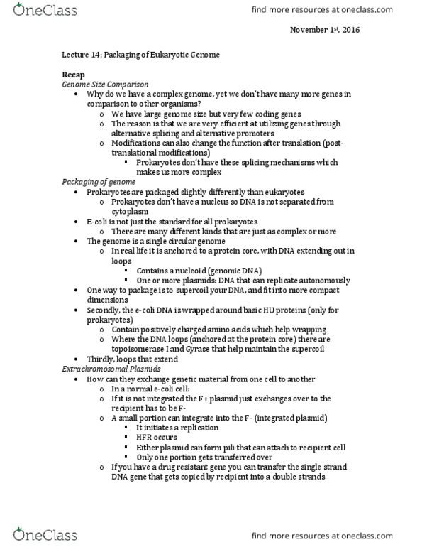 BIOL 3110 Lecture Notes - Lecture 14: Alpha Helix, Deoxyribonuclease, Ploidy thumbnail