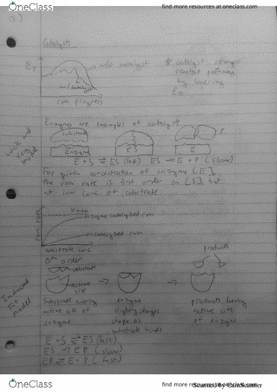 CHE 152 Lecture 13: Enzyme Kinetics thumbnail