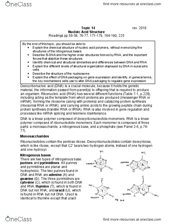 Biochemistry 2280A Lecture Notes - Lecture 14: Histone H2A, Arginine, Atp Hydrolysis thumbnail