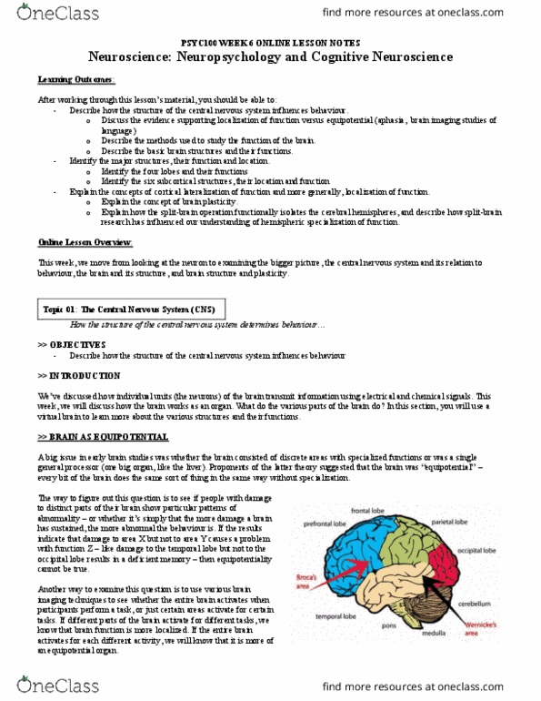 PSYC 100 Lecture Notes - Lecture 6: Hemispatial Neglect, Grey Matter, Neural Tube thumbnail