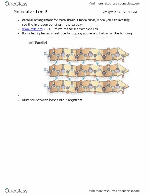 BIOL 2P02 Lecture Notes - Lecture 5: Leucine, Amphiphile, Alpha Helix thumbnail