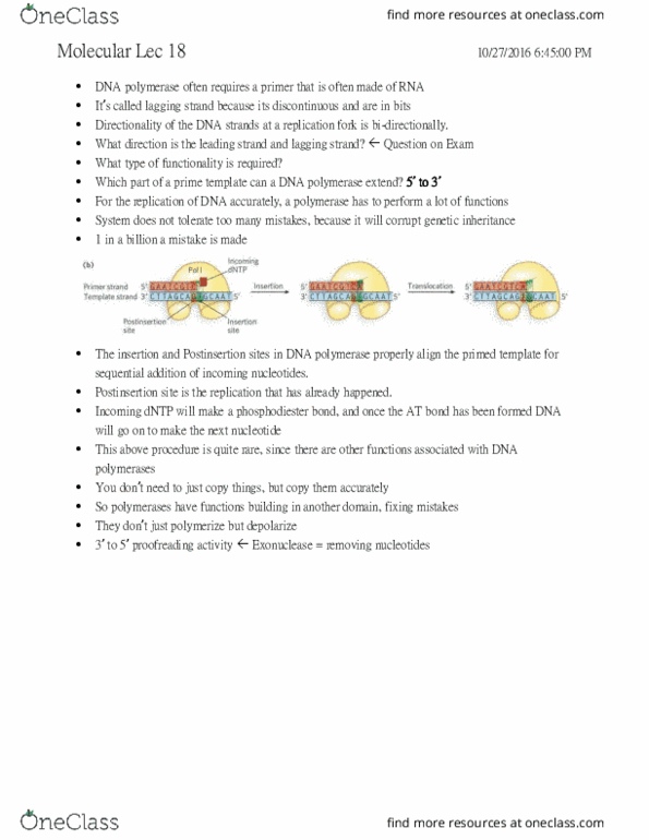 HLSC 2P21 Lecture Notes - Lecture 18: Protein Structure, Ion, Dna Clamp thumbnail