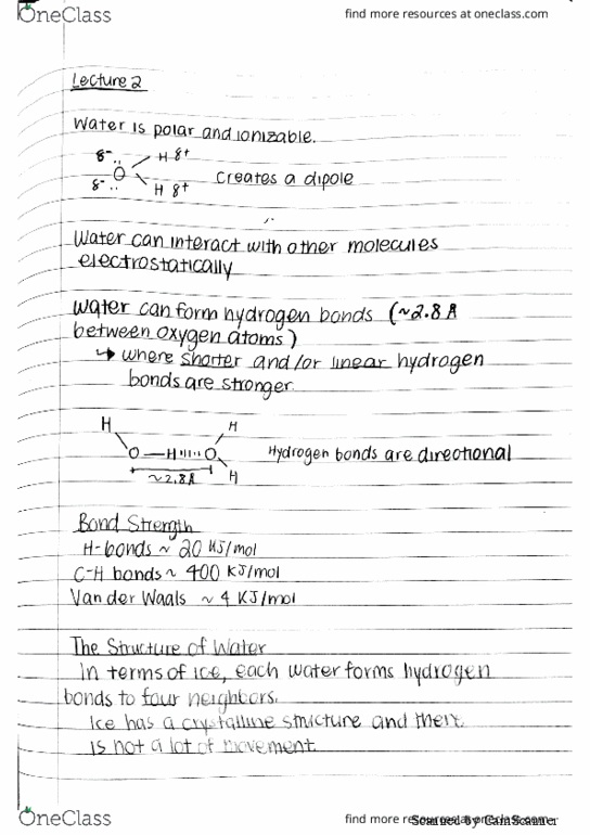 BCHM 310 Lecture 2: Bchm 315 lec2 thumbnail