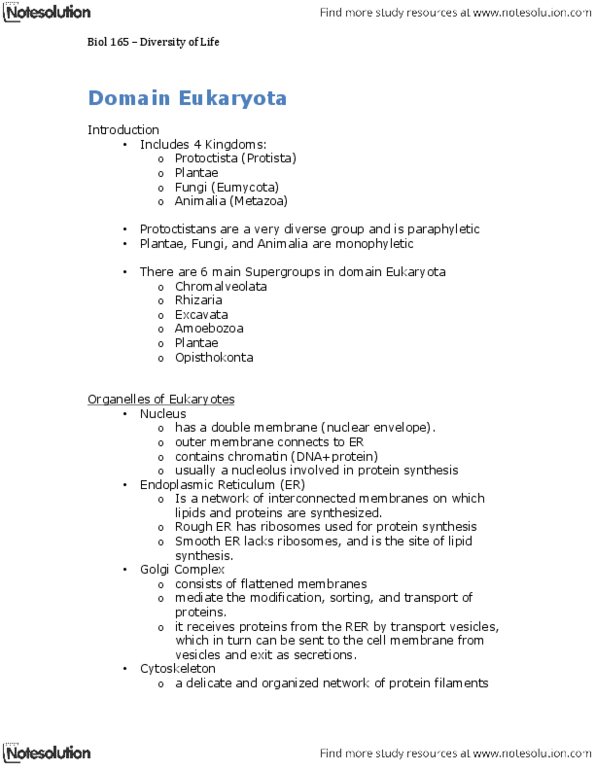 BIOL165 Lecture Notes - Eukaryote, Opisthokont, Amoebozoa thumbnail