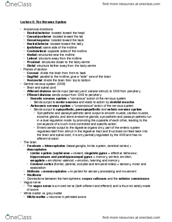 PSYC 342 Lecture Notes - Lecture 3: Oophorectomy, Estrous Cycle, Threshold Potential thumbnail