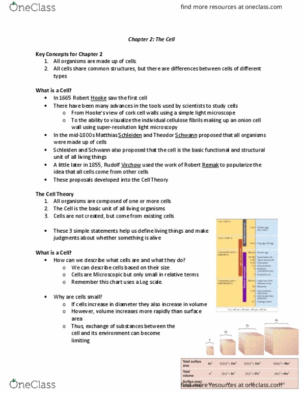 BIOL 120 Lecture Notes - Lecture 2: Exocytosis, Cytoplasmic Streaming, Photosynthesis thumbnail