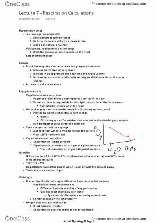 BIO 3302 Lecture 7: Lecture 7 - Respiration Calculations thumbnail