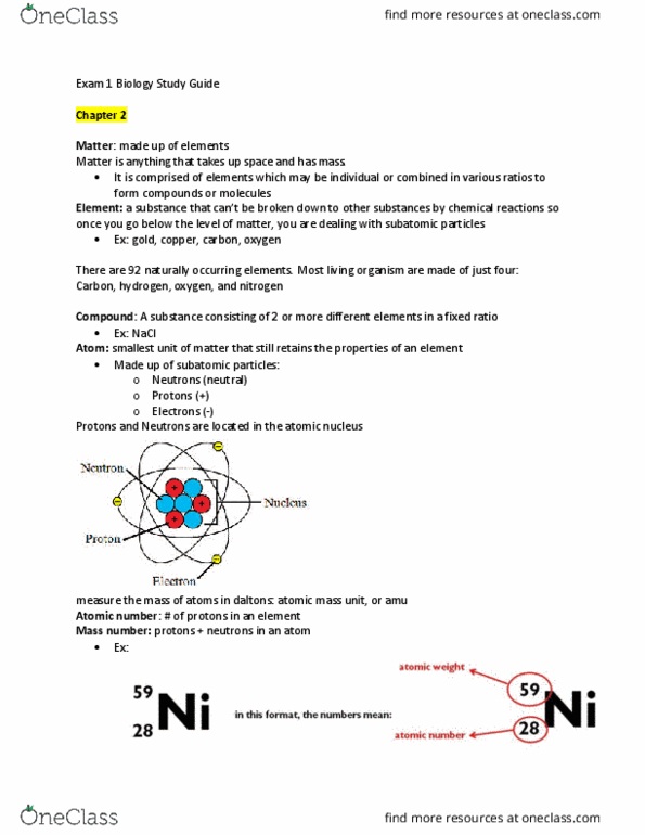 BSC 2010C Study Guide Fall 2017, Midterm Molar Concentration, Motor