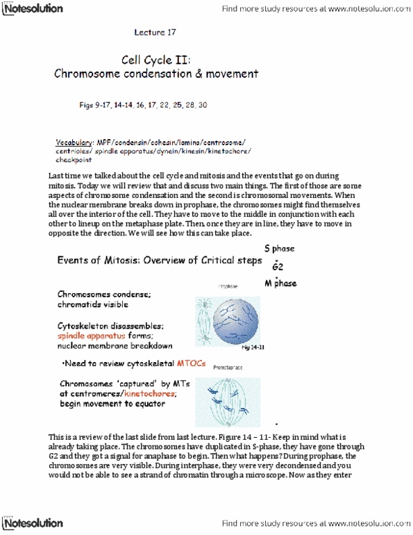 BIOB11H3 Lecture Notes - Lecture 17: Cyclin-Dependent Kinase, Microtubule Organizing Center, Spindle Pole Body thumbnail