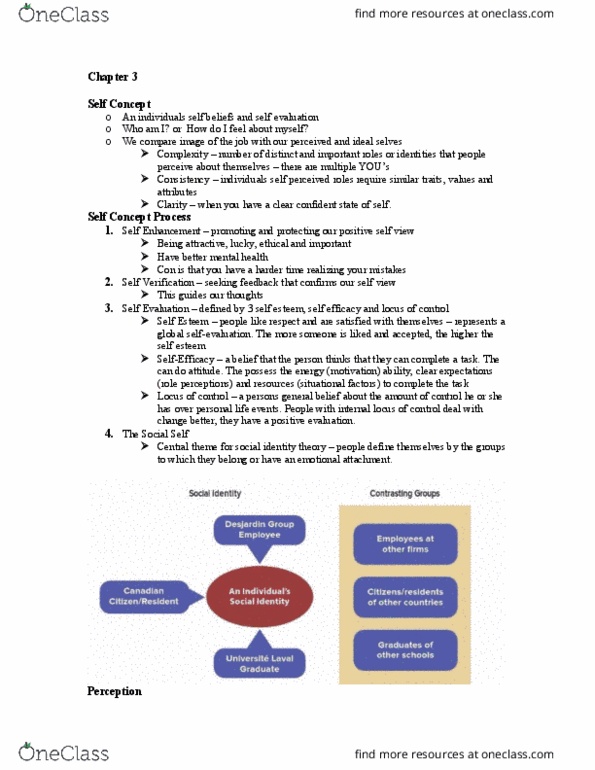 BUS 272 Lecture Notes - Lecture 3: Long-Term Memory, Mental Models, Confirmation Bias thumbnail