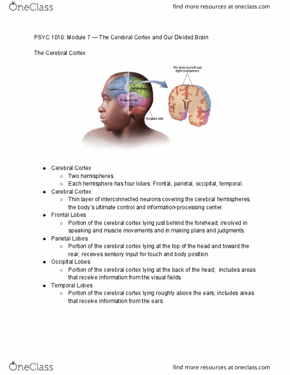 PSYC 1010 Lecture Notes - Lecture 7: Medical Record, Brain Damage, Reading Disability thumbnail