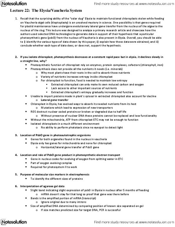 Biology 1002B Lecture Notes - Horizontal Gene Transfer, Oxygen-Evolving Complex, Vaucheria thumbnail