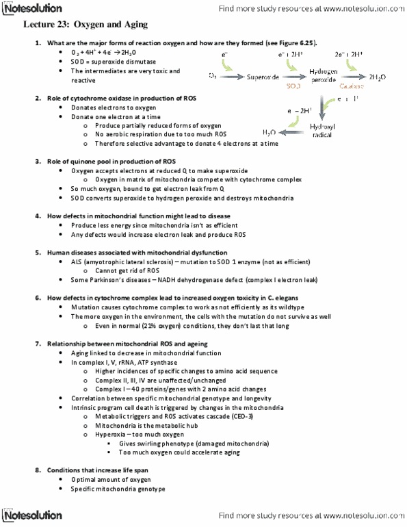 Biology 1002B Lecture Notes - Superoxide Dismutase, Cytochrome C Oxidase, Hyperoxia thumbnail