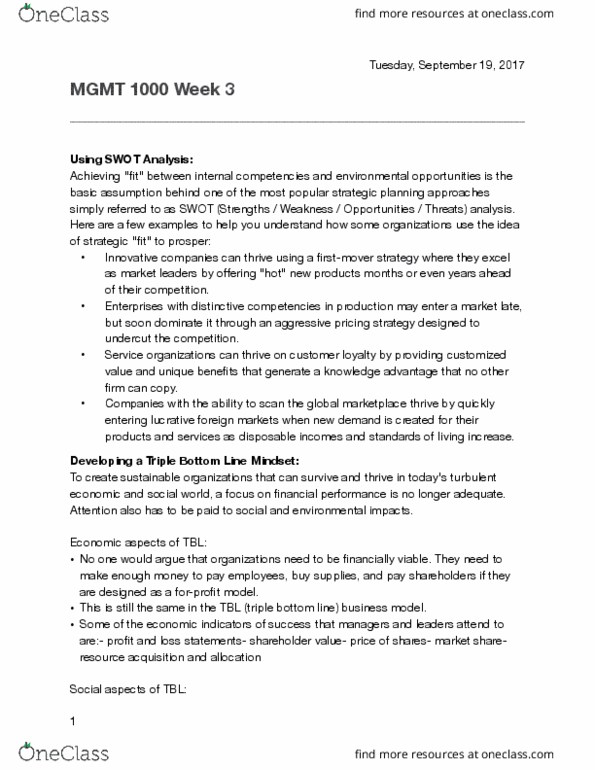 MGMT 1000 Chapter Notes - Chapter 3: Triple Bottom Line, Swot Analysis, E.G. Time thumbnail