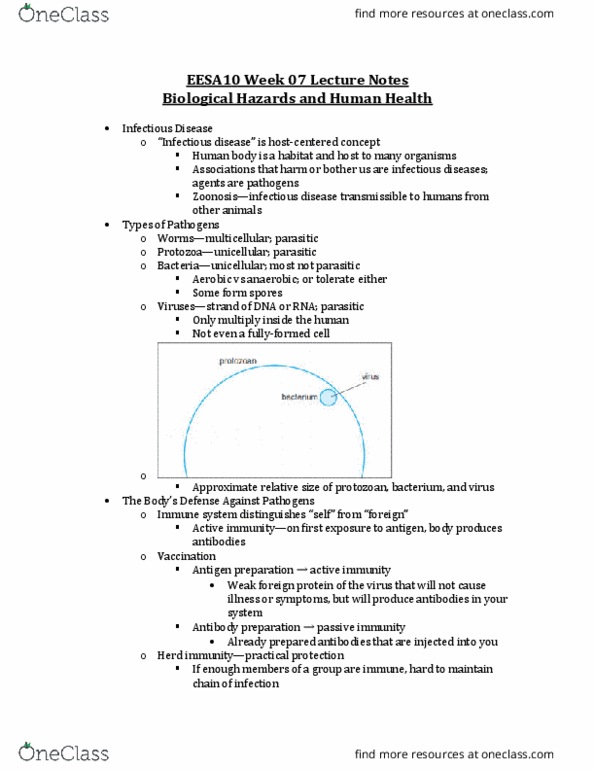 EESA10H3 Lecture 7: EESA10 Week 07 Lecture Notes thumbnail