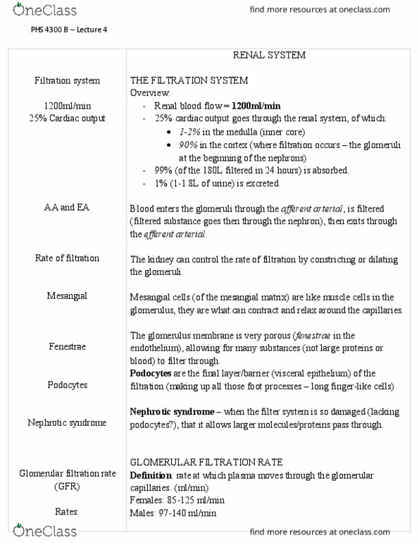 PHS 4300 Lecture Notes - Lecture 4: Kidney Failure, Vesicoureteral Reflux, Chronic Kidney Disease thumbnail