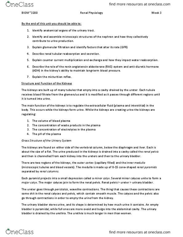 BIOM 3200 Chapter Notes - Chapter 17: Renal Function, Proximal Tubule, Ascending Limb Of Loop Of Henle thumbnail