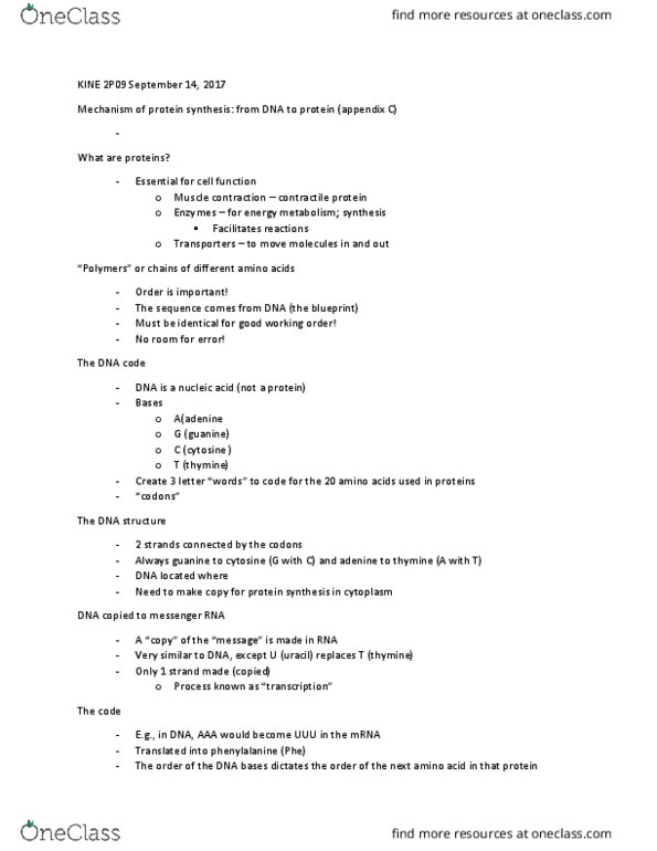 KINE 2P09 Lecture Notes - Lecture 6: Nuclear Pore, Transfer Rna, Thymine thumbnail