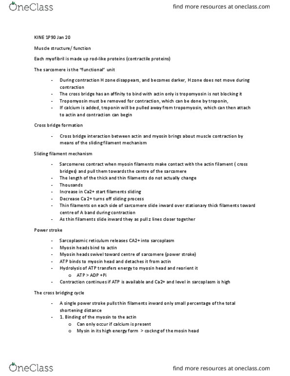 KINE 1P90 Lecture Notes - Lecture 4: Sliding Filament Theory, Endoplasmic Reticulum, Myosin Head thumbnail