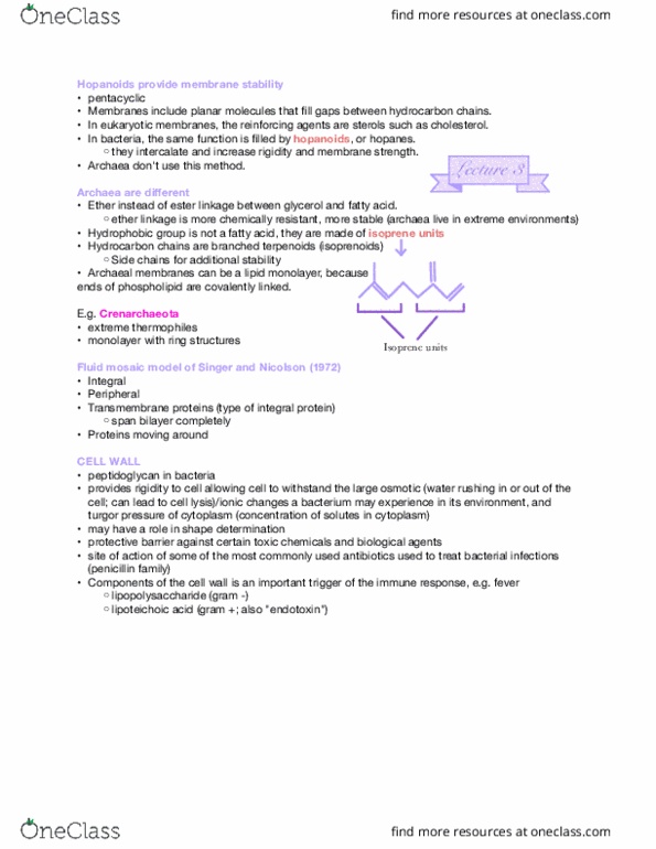 MICROM 410 Lecture Notes - Lecture 3: Fluid Mosaic Model, Hopanoids, Isoprene thumbnail