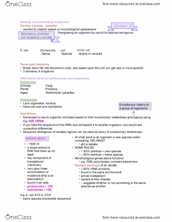 MICROM 410 Lecture Notes - Lecture 2: Amoebiasis, Giardia Lamblia, Carl Woese thumbnail