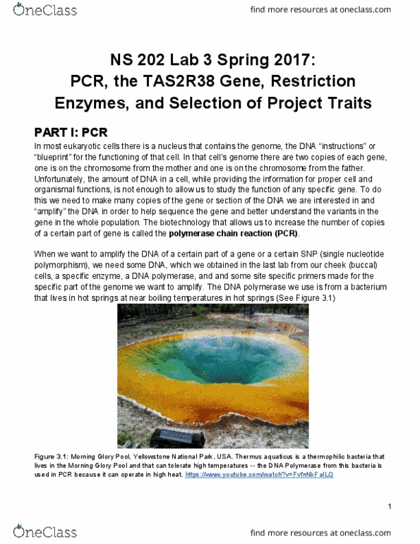CGS NS 201 Lecture Notes - Lecture 3: Tas2R38, Single-Nucleotide Polymorphism, Dna Polymerase thumbnail