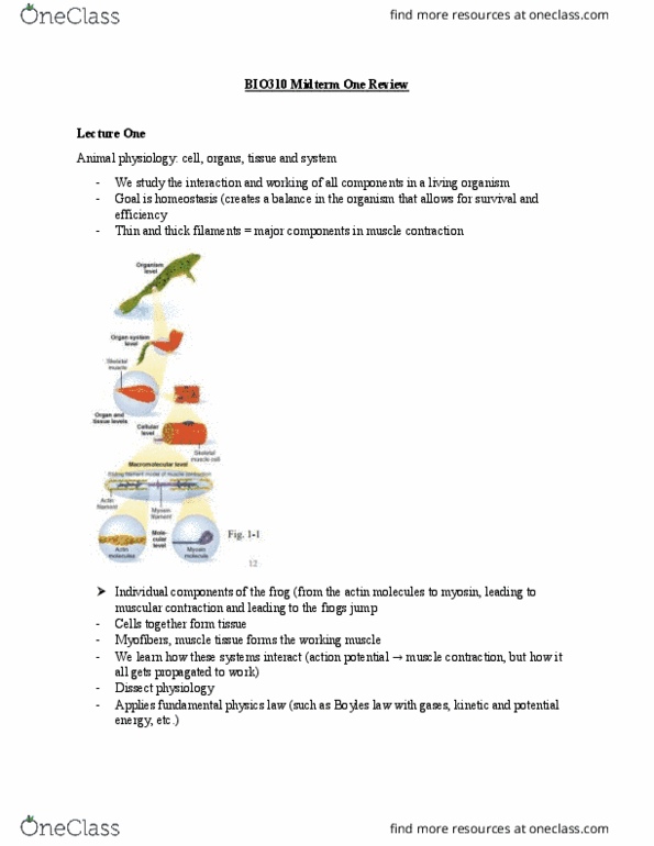 BIO310H5 Lecture Notes - Lecture 1: Sodium Channel, Lipid Bilayer, Potassium Channel thumbnail