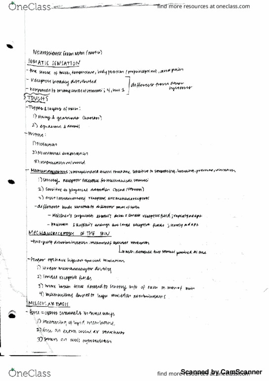 PSY-P 346 Lecture 6: P346 Exam 2 Notes 6 thumbnail