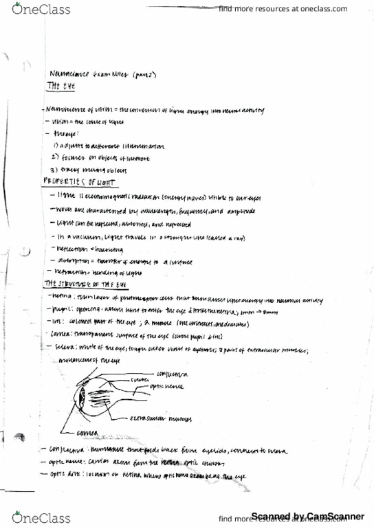 PSY-P 346 Lecture 2: P346 Exam 2 Notes 2 thumbnail