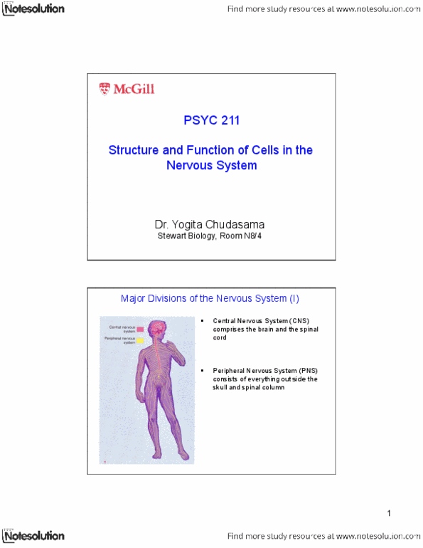 PSYC 211 Lecture : Neuro 2.pdf thumbnail