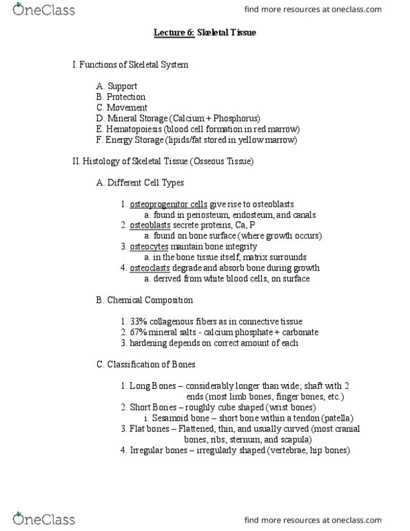 EXCI 253 Lecture Notes - Lecture 6: Medullary Cavity, Sesamoid Bone, Bone Marrow thumbnail