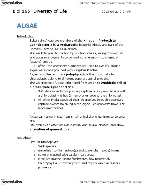 BIOL165 Lecture : Biol 165 - ALGAE.pdf thumbnail