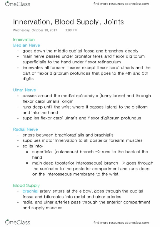 ANAT 315 Lecture Notes - Lecture 15: Flexor Carpi Ulnaris Muscle, Flexor Digitorum Profundus Muscle, Flexor Digitorum Superficialis Muscle thumbnail