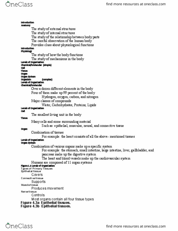 BIO 121 Lecture Notes - Lecture 1: Circulatory System, Digestion, Organism thumbnail